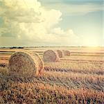 Summer Farm Scenery with Haystacks in the Field on the Background of Beautiful Sunset. Agriculture Concept. Instagram Styled Toned Photo.