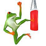 Tropical frog beats on a punching bag, isolated on white background