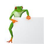 The frog shows the template for the inscription, isolated on white background