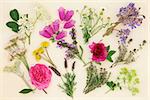 Medicinal herb and flower selection used in alternative herbal medicine over cream paper background.