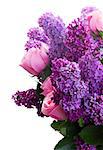 Bouquet of purple Lilac flowers with pink roses close up isolated on white background