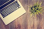 Working table with laptop computer and plant pot. Wooden table background with copy space on bottom. Instant photo vintage split toning color effect.