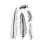 hand draw set of feathers on a white background, can be used as background printing on T-shirts and textile patterns