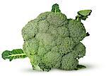 Large inflorescences of fresh broccoli with leaves top view isolated on white background