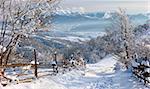 Carpathian mountains covered with snow and beautiful sunshine lit