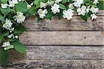 Jasmine flowers on wooden boards, nature background