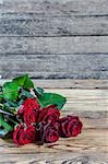 Lovely rose flowers on wooden table, rustic design