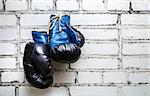 Pair of old blue boxing gloves hanging on white brick wall background.