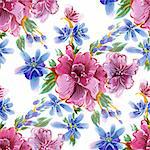 Blue and red flowers on a white background.   Watercolor illustration.