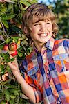 Outdoor portrait of happy young boy male child picking an organic red apple from a tree in an orchard and smiling with perfect teeth