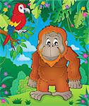 Orangutan theme image 2 - eps10 vector illustration.