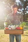 Handsome man carrying box of vegetables in the park