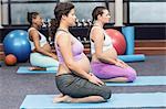 Pregnant women doing exercise on mat at the leisure center