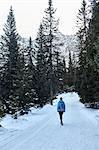 Rear view of young woman hiking along snowy rural road, Austria