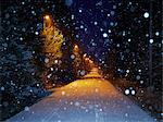 Illuminated road at winter
