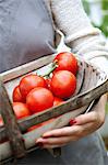 Woman holding basket with tomatoes