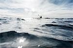 Person kayaking on sea