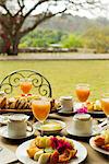 Fresh fruit and juice on outdoor table