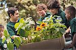 Children in a group learning about plants and flowers looking at sunflowers and young plants.