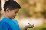 A boy holding a frog in the palm of his hand.