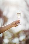 Masculine hand holding a glass of champagne in garden