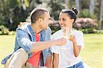 Smiling couple toasting on picnic blanket in the garden