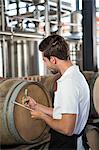 Handsome brewer checking at the barrels in a brewery