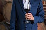 Well dressed man examining glass of wine at the winefarm