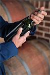 Well dressed man examining bottle of wine at winefarm