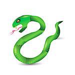 Cartoon Green Snakes Isolated on White Background.