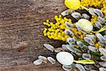 French bright fresh yellow mimosa and catkins with easter eggs on wooden background