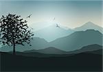 Landscape background with trees and birds