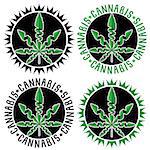 Cannabis marijuana design stamps vector illustration