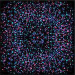 Particles Background. Colorful Confetti Isolated on Black Background.