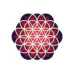 Purple flower of life isolated on white background, vector illustration