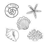 Set of seashells isoleted on white. Vector illustration