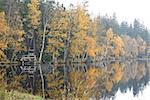 Trees on the bank of lake in the autumn - Kladska peats -Glatzener Moor -  is a national nature reserve in Slavkov Woods - protected landscape area. Slavkov Forest - Kaiserwald  is geomorphological unit in the northern part of the Carlsbad Highlands. Kladska, Czech republic.