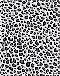 Seamless print of skin of leopard, vector illustration
