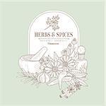 Herbs and Spices, Handdrawn Vector Illustration Banner