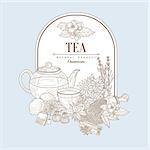 Tea, Hand drawn Vector Illustration Banner, Organic food sketch background. Vector frame design