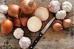 Whole and halved fresh uncooked garlic and onions of the Allium family with a knife on an old rustic kitchen table ready to prepare for cooking