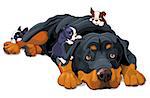 Illustration of beautiful Rottweiler family