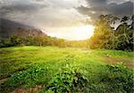 Field in jungles of Sri Lanka at cloudy sunset