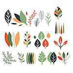 Leaves Collection Modern Design Flat Vector Isolated Icons On White Background