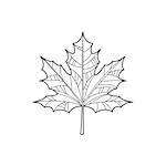 Maple Leaf Hand Drawn Vector Design Zentangle Print For Coloring Book