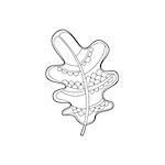 Oak Leaf Hand Drawn Vector Design Zentangle Print For Coloring Book