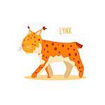 Lynx Drawing For Arctic Animals Collection Of Flat Vector Illustration In Creative Style On White Background