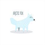 Arctic Fox Drawing For Arctic Animals Collection Of Flat Vector Illustration In Creative Style On White Background