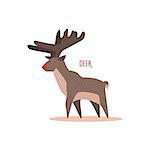 Deer Drawing For Arctic Animals Collection Of Flat Vector Illustration In Creative Style On White Background