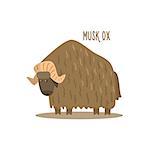 Musk Ox Drawing For Arctic Animals Collection Of Flat Vector Illustration In Creative Style On White Background